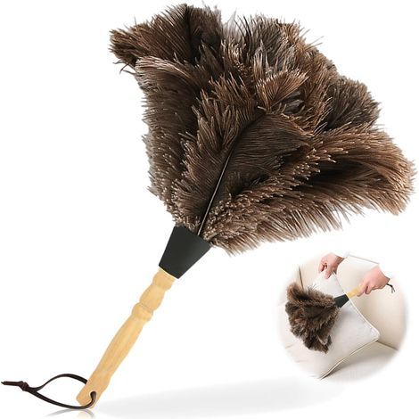 Plumeau d'autruche 34 cm Plumeau avec Manche en Bois pour Chambre Salon Bibliothèque (1/5)