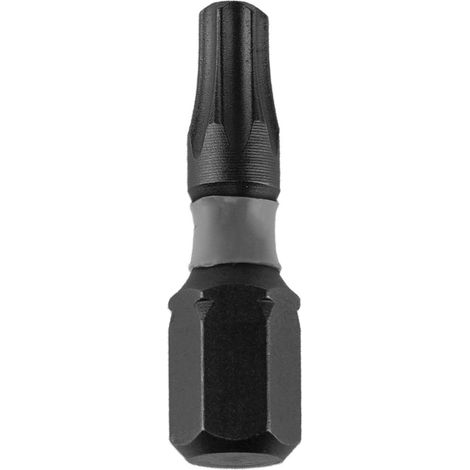 Punta cacciavite Dedra 18a53t300-10 Torx acciaio S2 25 mm