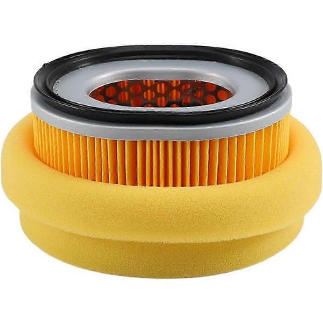 Ensemble filtre à air et préfiltre pour moteur Yanmar L100N 114210-12590 (1/5)