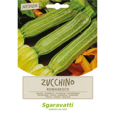 SEMI PER ORTAGGI E VEGETALI zucchino romanesco Q.TA 20 zucchino romanesco