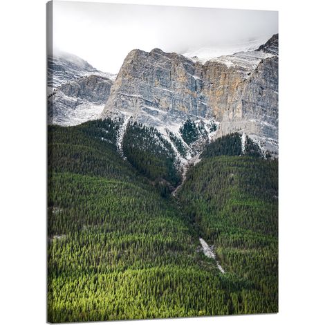 Leinwanddruck Natur Berghang Bäume 50x70