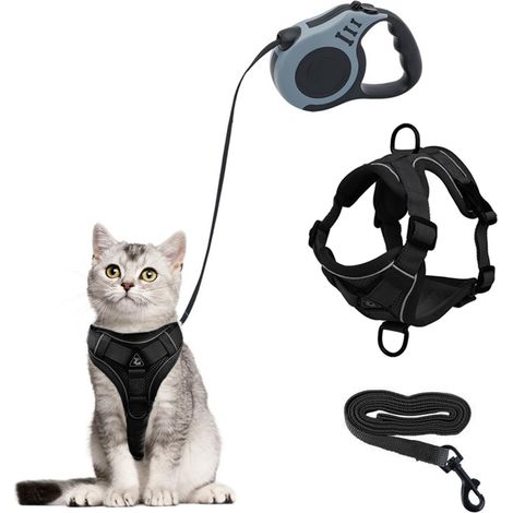 Harnais et Laisse Rétractable pour Chat - Ensemble Confortable et Réglable (1/5)