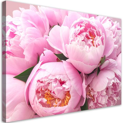 Tableaux, Fleurs de pivoine roses nature,30x20 (1/4)