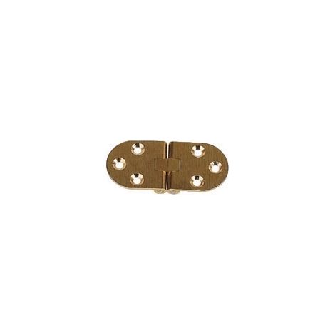 Itar – Charnière ronde à double axe – Laiton poli pour assemblage optimal – Décor satiné – Diamètre 30 mm – Largeur ouverte 80 mm – Vendu à l'unité (1/2)