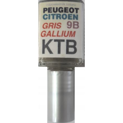 Pintura de retoque Citroën Peugeot KTB gris galio (1/5)