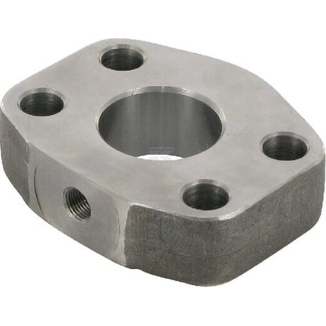 Punto di misuraz flangia SAE OLEO TECNICA D404G14