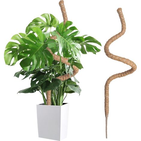 Wigearss Tuteur Plante Intérieur 120cm, Support Grimpant en Coco Pliable, Poteau de Croissance pour Jardin Domestique, Plante Monstera (1/5)