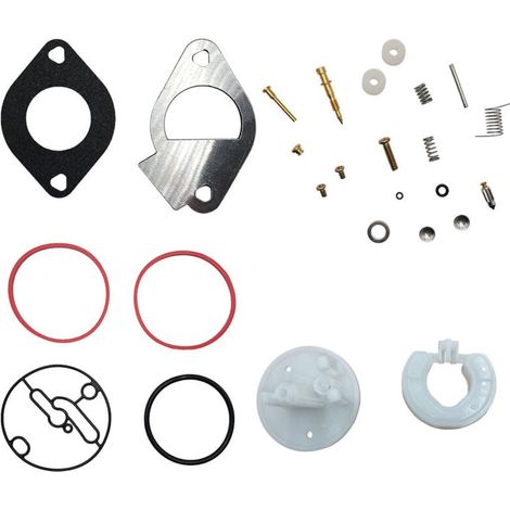Kit de Réparation de Carburateur Tondeuse Rechange Compatible avec Briggs & Stratton Carburetor Carbs 796184 (1/4)