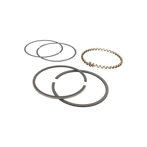 Jeu De Segments Adaptable Pour Kohler Modèle K-301, 12 Ch.. Remplace Origine: 235892, 48-108-04