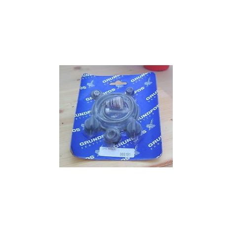 Grundfos 985191 Dichtungssatz Gartenpumpe S11/130 JP6 MOD:B