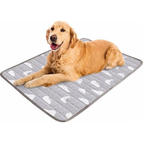 Tapis rafraîchissant pour chiens et chats XL 110 x 80 cm. Tapis rafraîchissant autonettoyant pour chien. Couverture rafraîchissante de haute qualité avec côtés glacés. Résistant aux griffures et lavab (1/5)