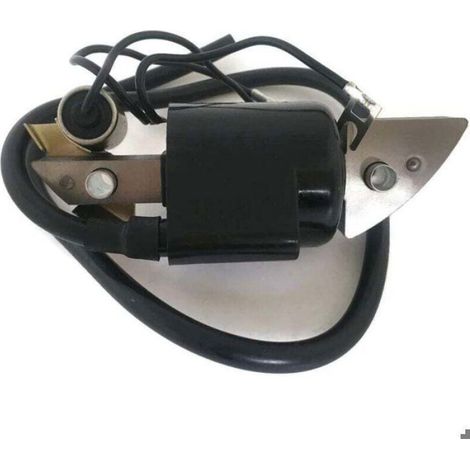 Bobine D Allumage - Moteur G150 G200 G300 G400 - Compatible Motoculteur F400 F500 FR500 F600 WT20 - Noir - 1 Pièce (1/4)