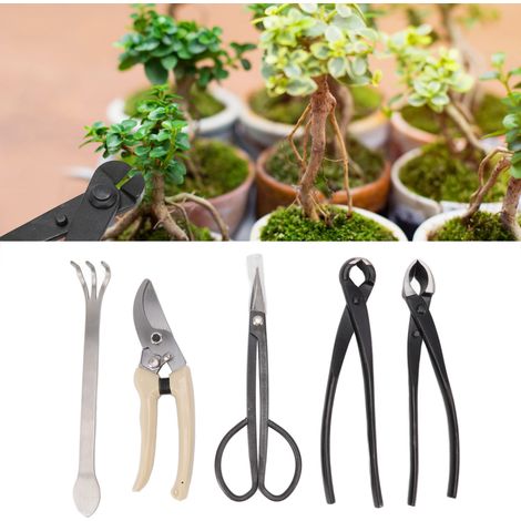 Kit d'outils pour bonsaï débutant, kit de base professionnel pour la taille et la mise en forme des bonsaïs, pince à rotule, sécateur à bourgeons (1/5)