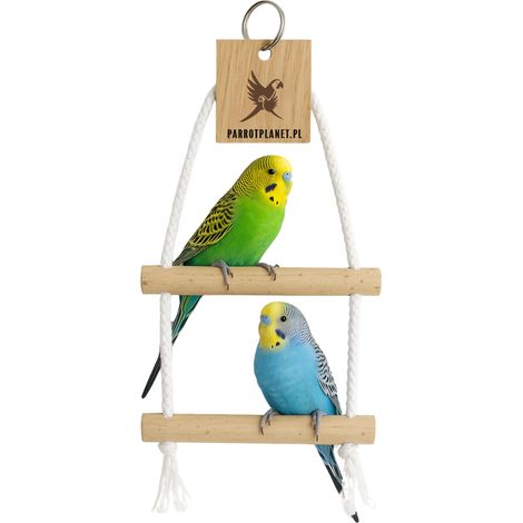 Parrot Planet Naturally - Altalena doppia in betulla per piccoli pappagalli (1/4)