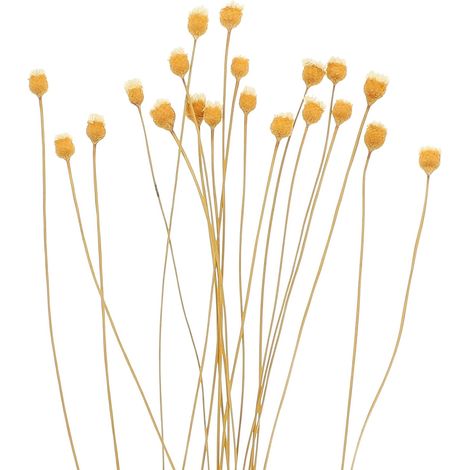 20pcs Wooden Diffuser Sticks with Flower Design for Essential Oil Absorption and Fragrance Diffusion in Living Room and Kitchen (1/5)