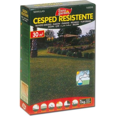 SEMILLAS FITO CESPED RESISTENTE EUROGARDEN 1KG=04455