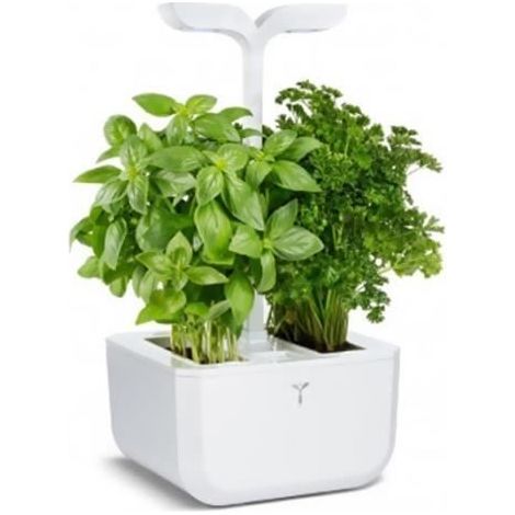 Herramienta de jardinería veritable exky classic iluminación LED riego automático