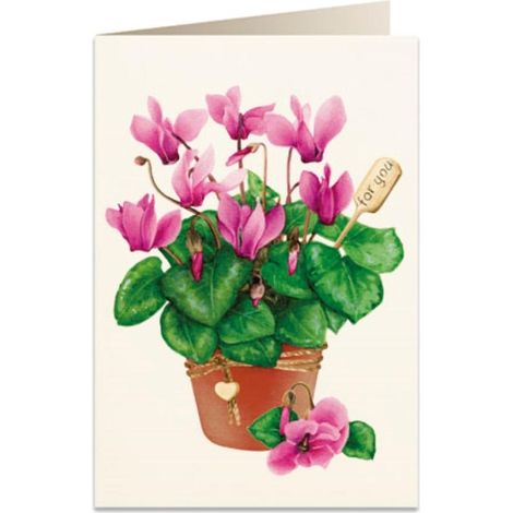Cartolina B6 + busta 5756 Ciclamino