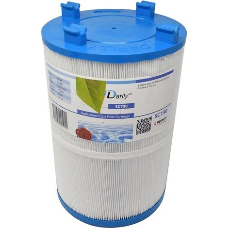 Filtro per acqua Darlly Spa SC730 / 70759 / C-7367 (1/4)