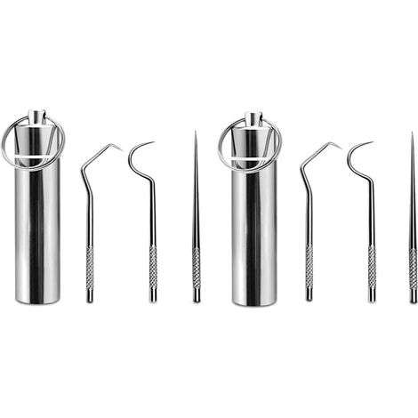 Lot de 2 Cure Dent Metal kit Portable réutilisable porte-cure-dents en acier inoxydable Cure-Dents Nettoyage de Crochet de Dent Grattoir avec Porte-Clés pour Pique-Nique et Camping en Plein Air (1/5)