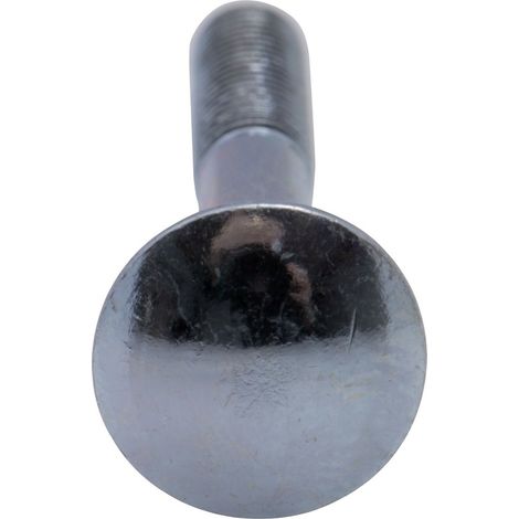 Boulon zingué TRCC Viswood Ø5x40mm (lot de 20 boulons)