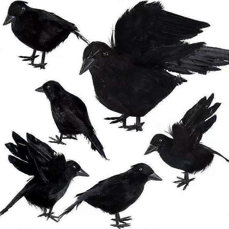 Lot de 6 corbeaux réalistes à plumes noires pour Halloween, décorations artisanales et fêtes. (1/5)