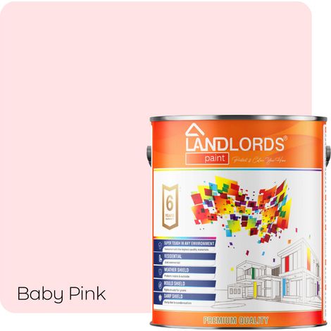 Landlords Paint - Masonry Paint - Best Weatherproof Exterior Wall Protection - Baby Pink - 1L (1/5)