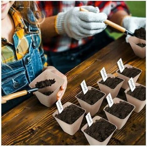 Godets semis biodégradables, lot Pratique de 120, carré, HLP 8 x 8 x4 cm, Pots de Jardinage en Papier, Nature (1/3)