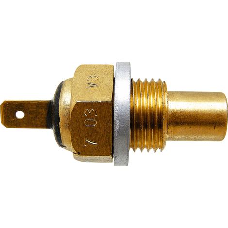 Capteur de température 12V 60799006 GRANITE