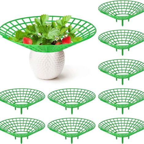 20 pcs supports pour fraises, avec 3 jambes robustes, cadre de culture en acier vert, idéal pour jardinage extérieur ou serre