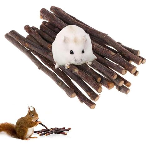 Lapin à Mâcher Jouets,Jouet Lapin Nain Intérieur,Jouets Pour Lapins,Jouet Hamster,Bâtonnets à Mâcher Bois Pommier,Branche Molaire,Hamster (12pcs) (1/5)
