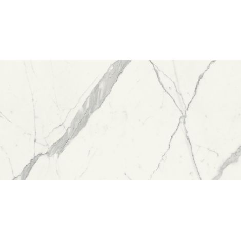 Aelle - Carrelage sol / mur effet marbre blanc 60x120 cm - SCULTOREA statuario vena argento J402 - Vendu par boîte de 1,44 m² (1/5)