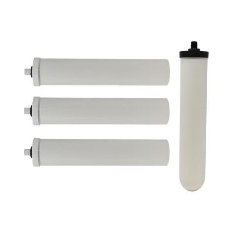 Ultracarb plus cartouches anti nitrate x3 pour Doulton duo nitrates