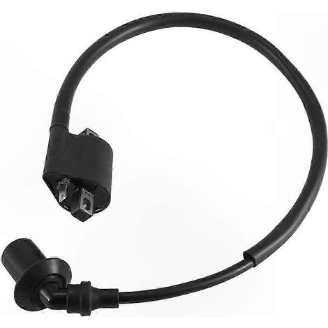 Bobine d'allumage avec fil et capuchon de bougie pour quad 500 cm³ X5 CF188 CF500, pièces de moto 0180-152000 (1/5)