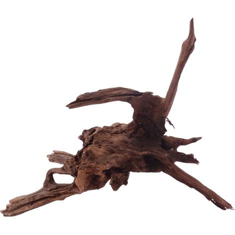 XL Driftwood Flußwurzel Nr.4938 Holz Deko Aquascaping