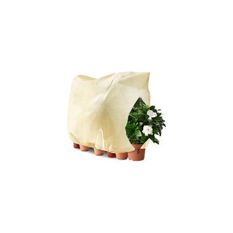 1pc Hivernage Plante, 200 x 240cm Housse d'hivernage avec Cordon de Serrage et Zipper, Housse de Protection pour Plantes, Coupe Réutilisable Voile Hivernage Plante (1/5)
