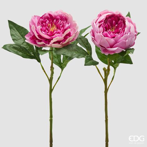 EDG Ramo Peonia Con Foglie 2 Colori Assortiti H 58