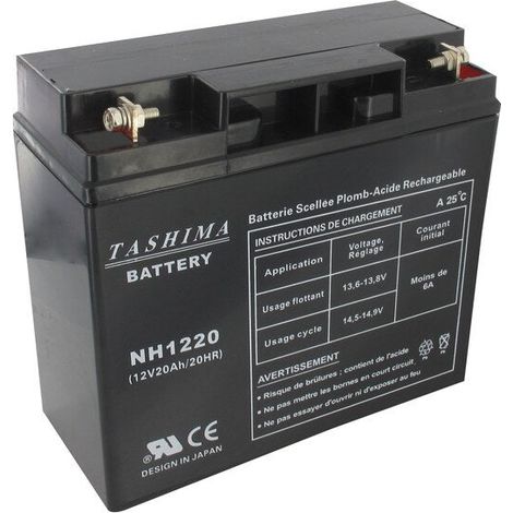 Batteria Motoculture Gel/agm Tashima 12v, 20a Adattabile Per Castelgarden, Honda E Stiga. L: 181, L: 76, H: 167, + a Destra.