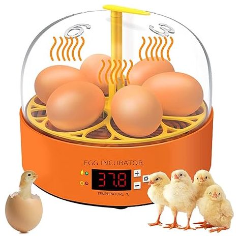 Incubadora de huevos, incubadora de aves de corral totalmente automática de 6 huevos, con volteo automático de huevos y control de temperatura, incubadoras digitales, adecuadas para huevos, huevos de (1/5)