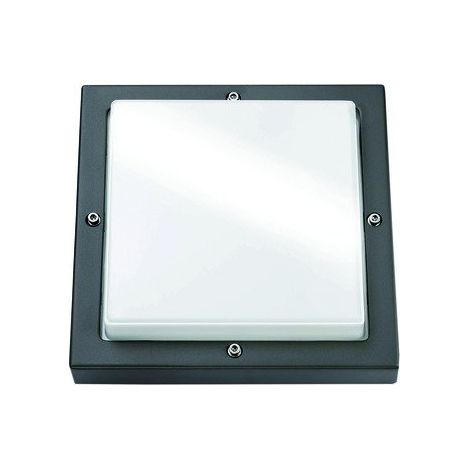 SG LIGHTING 623188 LAMPE DE CULTURE LED 10 W A + BASSI 3000 K 1LED GRAPHITE CLASSE D'EFFICACITÉ ÉNERGÉTIQUE: A + 580LM KST  OPA