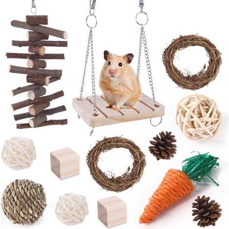 Jouets pour hamsters, gerbilles et petits animaux à mâcher et avec lesquels jouer, les incitant à grincer des dents (1/5)
