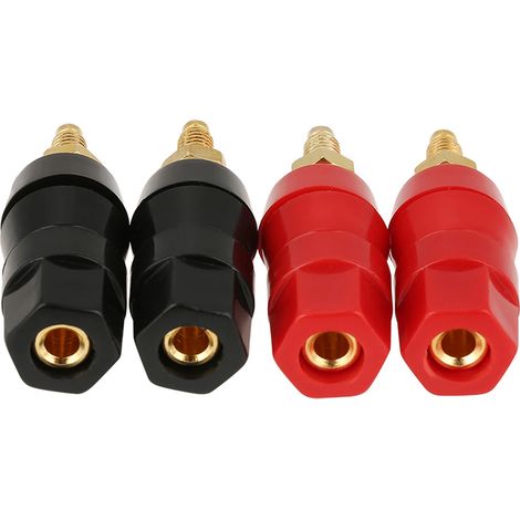 Boîtier d'enceinte plaqué or avec deux bornes de connexion rouges et deux noires (1/5)