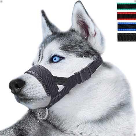Museruola regolabile in nylon per cani – Antiabbaio e antimorso – Comoda e sicura – Disponibile in varie taglie (1/5)