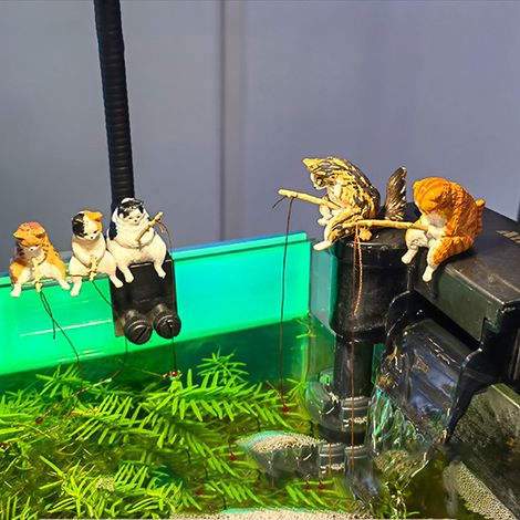 Décoration de pêche au chat, décoration d'aquarium, pêche au chat, beau temps, pêche au chat de loisir, décoration suspendue. (1/4)