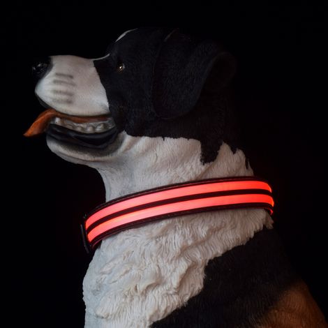 Collier léger pour chien USB rechargeable Collier imperméable lumineux taille réglable, collier léger sécurité nocturne chiens de petite,(30-40cm) (1/3)