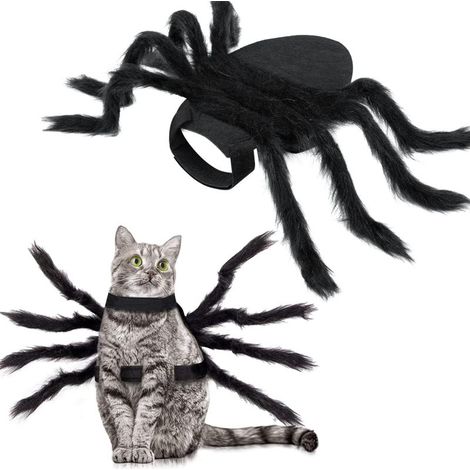 Déguisement d'araignée pour chien et chat, costume d'Halloween avec velcro ajustable (petite et moyenne taille)