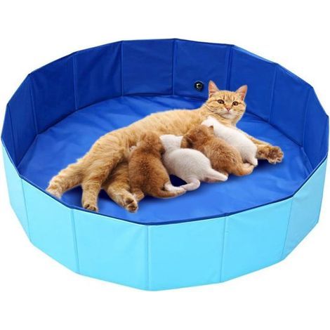 Piscines hors-sol - Piscines - Piscine ronde - Piscine hors-sol - Piscine familiale Swim Center - Piscine pliable en plastique rigide - Piscine hors-sol - Piscine pour enfants - Piscine pour enfants - (1/5)