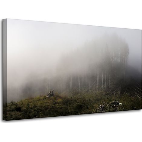 Leinwanddruck Natur Nebel im Wald 100x60 cm