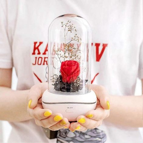 Diffuseur d'arômes portable, rechargeable et USB, avec lampe intégrée, pour la maison, le bureau ou la chambre. Parfum préservé. (1/4)