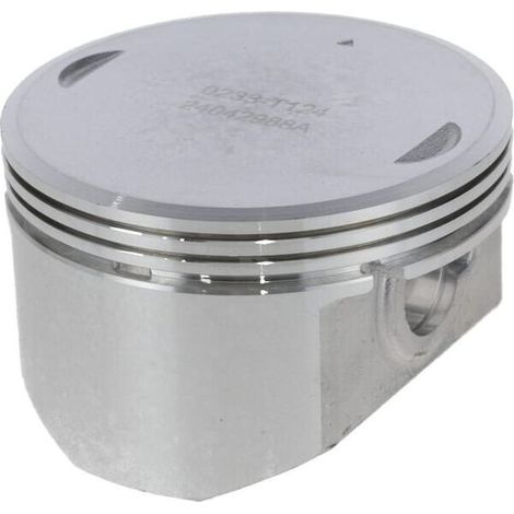 Piston 1300302330001 (1/2)